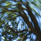 Τι
κρύβουν οι
ζαλάδες;