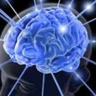 Καινοτόμες
εφαρμογές
βελτιώνουν τη
λειτουργία
του
εγκεφάλου
