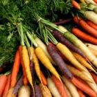 Βιολογικά ή
συμβατικά;