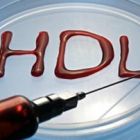 Όλα όσα πρέπει να ξέρετε για τη χοληστερόλη