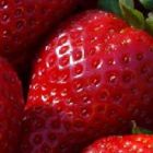 Φράουλα. κόκκινος γευστικός πειρασμός