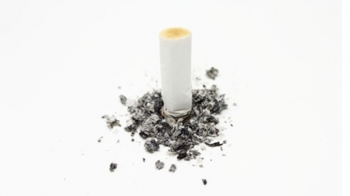 habit1.jpg