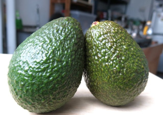 avocado.jpg