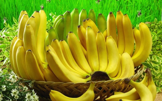 Absolute-Hit-Morning-Banana-Diet.jpg
