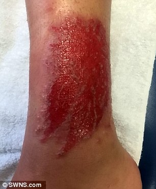 2b6f1b0500000578-0-image-m-7_1439806183465